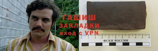 хмурый Мегион