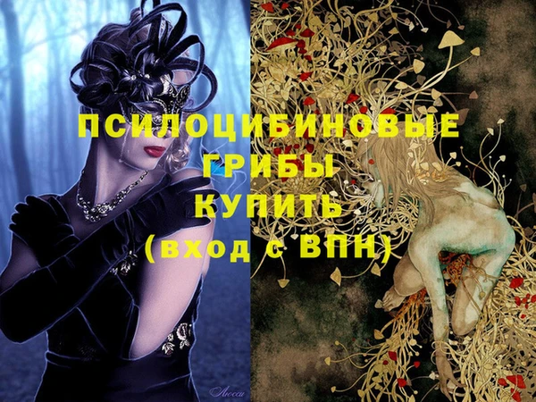 меф Армянск