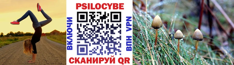 hydra как зайти  даркнет сайт  Няндома  Галлюциногенные грибы мицелий 